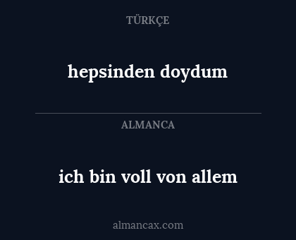 hepsinden doydum - ich bin voll von allem