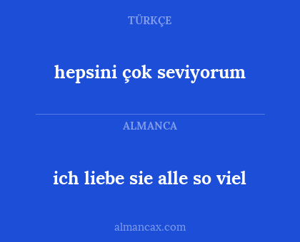 hepsini çok seviyorum - ich liebe sie alle so viel