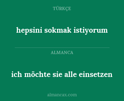 hepsini sokmak istiyorum - ich möchte sie alle einsetzen