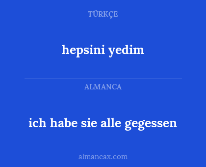 hepsini yedim - ich habe sie alle gegessen