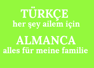 her+%C5%9Fey+ailem+i%C3%A7in-alles+f%C3%BCr+meine+familie.png
