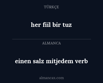 einen salz mitjedem verb - her fiil bir tuz