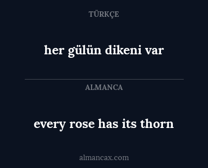 every rose has its thorn - her gülün dikeni var