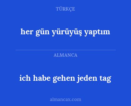 her gün yürüyüş yaptım - ich habe gehen jeden tag