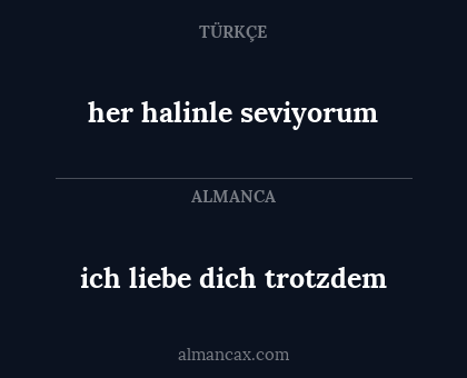 her halinle seviyorum - ich liebe dich trotzdem