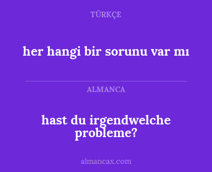 hast du irgendwelche probleme? - her hangi bir sorunu var mı