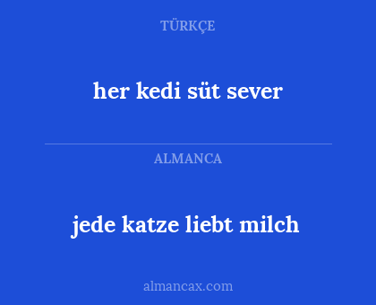 her kedi süt sever - jede katze liebt milch