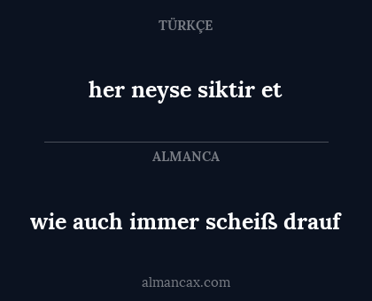 wie auch immer scheiß drauf - her neyse siktir et