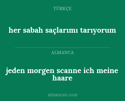 jeden morgen scanne ich meine haare - her sabah saçlarımı tarıyorum