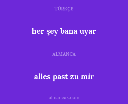 her şey bana uyar - alles past zu mir