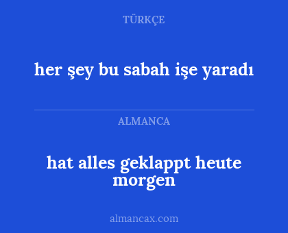 hat alles geklappt heute morgen - her şey bu sabah işe yaradı
