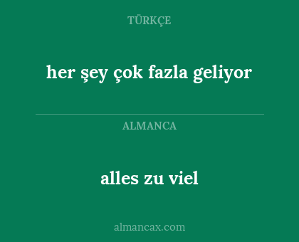 alles zu viel - her şey çok fazla geliyor