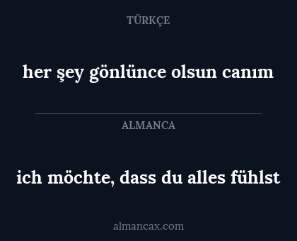 ich möchte, dass du alles fühlst - her şey gönlünce olsun canım