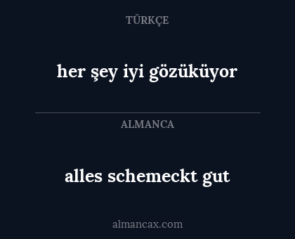 her şey iyi gözüküyor - alles schemeckt gut