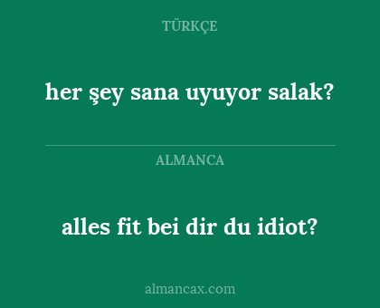 alles fit bei dir du idiot? - her şey sana uyuyor salak?