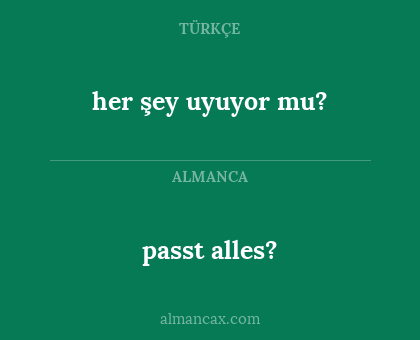 her şey uyuyor mu? - passt alles?
