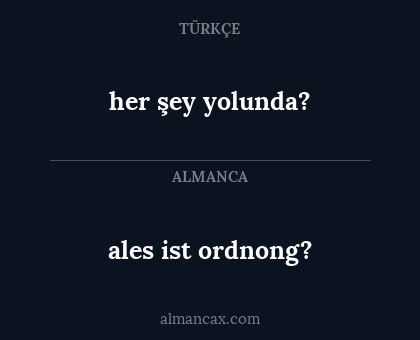 her şey yolunda? - ales ist ordnong?