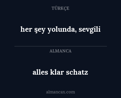 her şey yolunda, sevgili - alles klar schatz