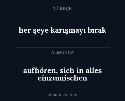 her şeye karışmayı bırak - aufhören, sich in alles einzumischen