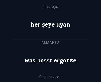 was passt erganze - her şeye uyan
