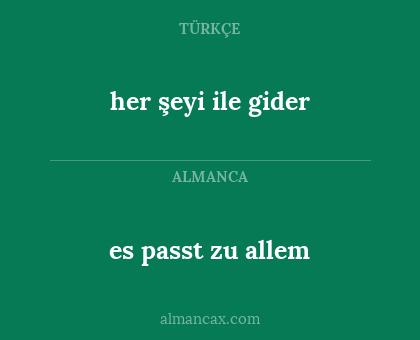 her şeyi ile gider - es passt zu allem