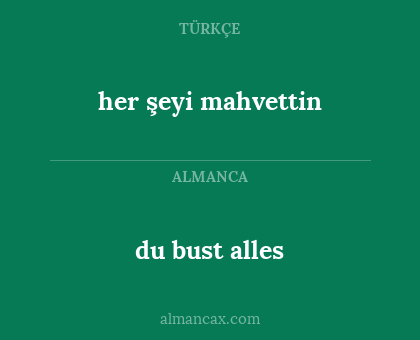 her şeyi mahvettin - du bust alles