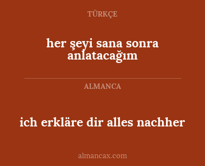 ich erkläre dir alles nachher - her şeyi sana sonra anlatacağım