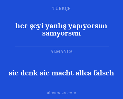 her şeyi yanlış yapıyorsun sanıyorsun - sie denk sie macht alles falsch