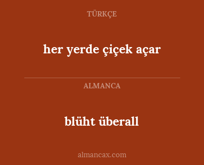 blüht überall - her yerde çiçek açar