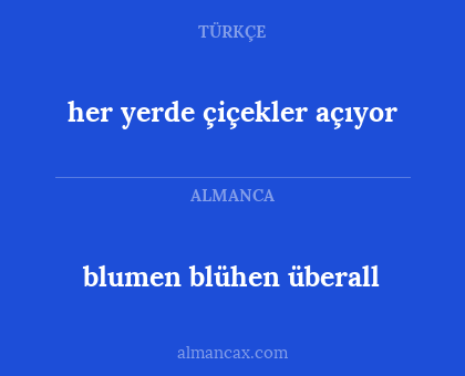 blumen blühen überall - her yerde çiçekler açıyor