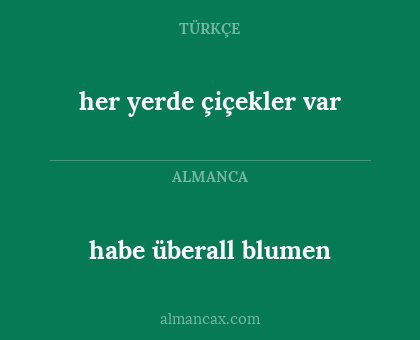 her yerde çiçekler var - habe überall blumen
