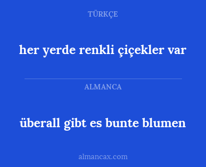 überall gibt es bunte blumen - her yerde renkli çiçekler var