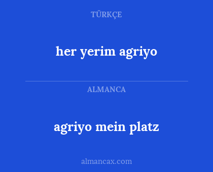 agriyo mein platz - her yerim agriyo