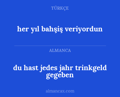 her yıl bahşiş veriyordun - du hast jedes jahr trinkgeld gegeben