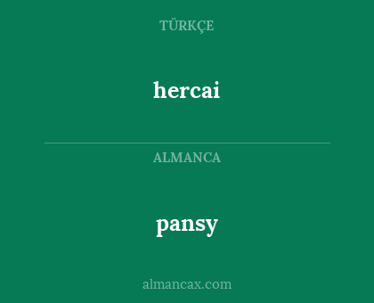 hercai - pansy