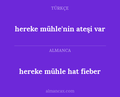 hereke mühle hat fieber - hereke mühle'nin ateşi var