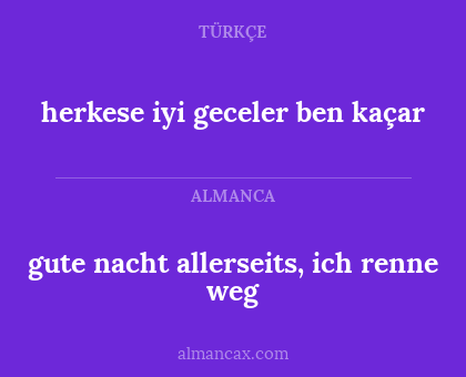 gute nacht allerseits, ich renne weg - herkese iyi geceler ben kaçar