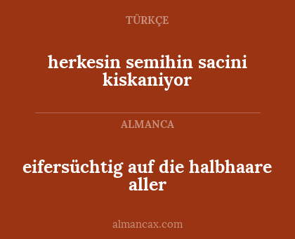 eifersüchtig auf die halbhaare aller - herkesin semihin sacini kiskaniyor