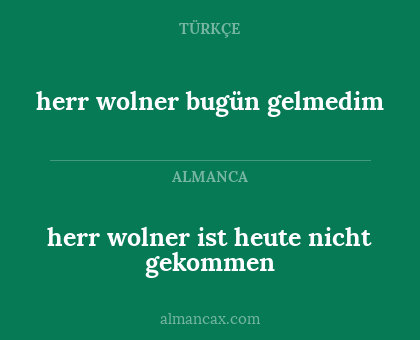 herr wolner bugün gelmedim - herr wolner ist heute nicht gekommen