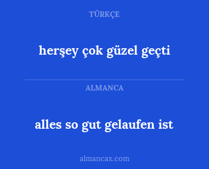 herşey çok güzel geçti - alles so gut gelaufen ist