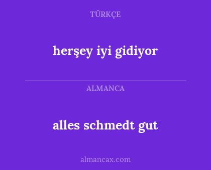 alles schmedt gut - herşey iyi gidiyor