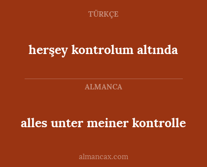 herşey kontrolum altında - alles unter meiner kontrolle