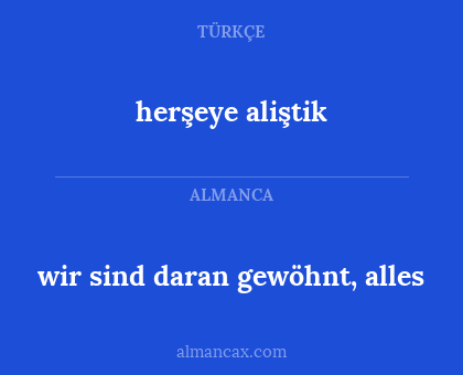 herşeye aliştik - wir sind daran gewöhnt, alles