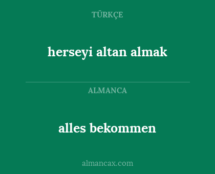 alles bekommen - herseyi altan almak