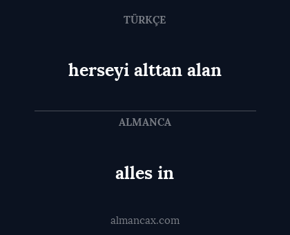 alles in - herseyi alttan alan