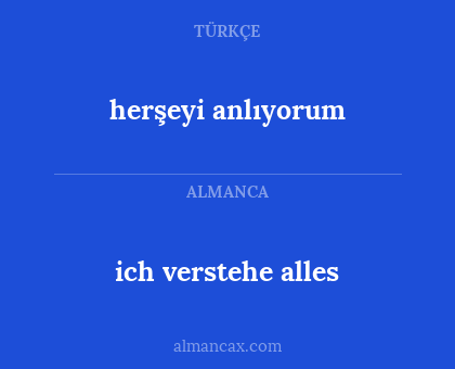 herşeyi anlıyorum - ich verstehe alles