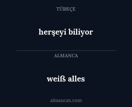 herşeyi biliyor - weiß alles