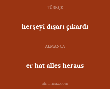 er hat alles heraus - herşeyi dışarı çıkardı