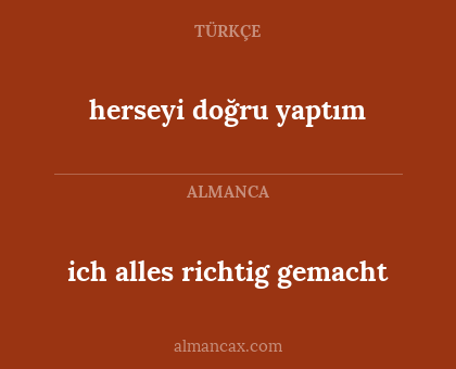 ich alles richtig gemacht - herseyi doğru yaptım