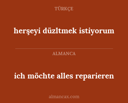 herşeyi düzltmek istiyorum - ich möchte alles reparieren
